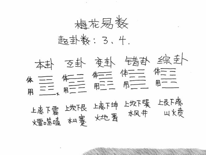 梅花六爻:一卦接一卦,解读梅花园艺中的文化密码 梅花六爻:一卦接一卦,解读梅花园艺中的文化密码