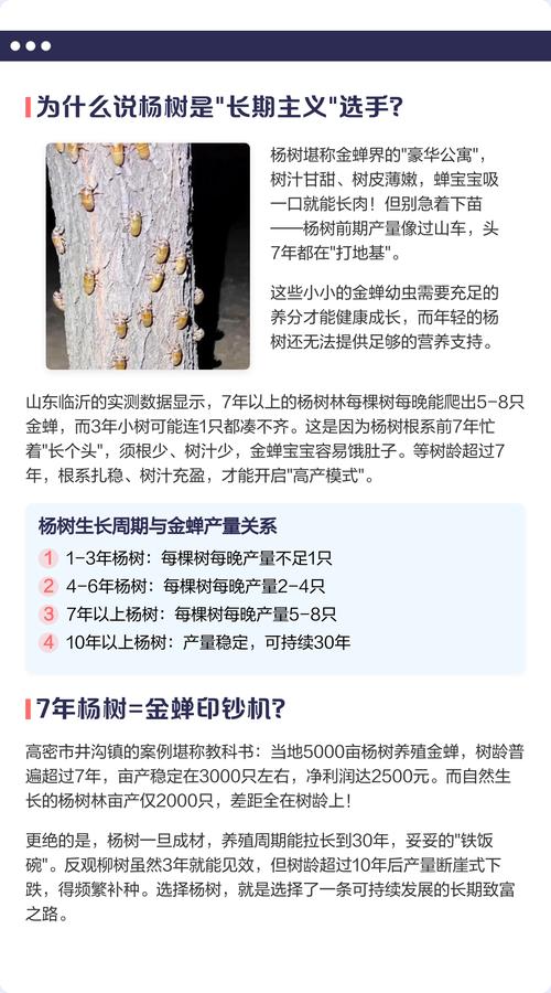 金蝉养殖首选树种种植技术指南——杨树与柳树科学种植全流程 六、缓苗管理