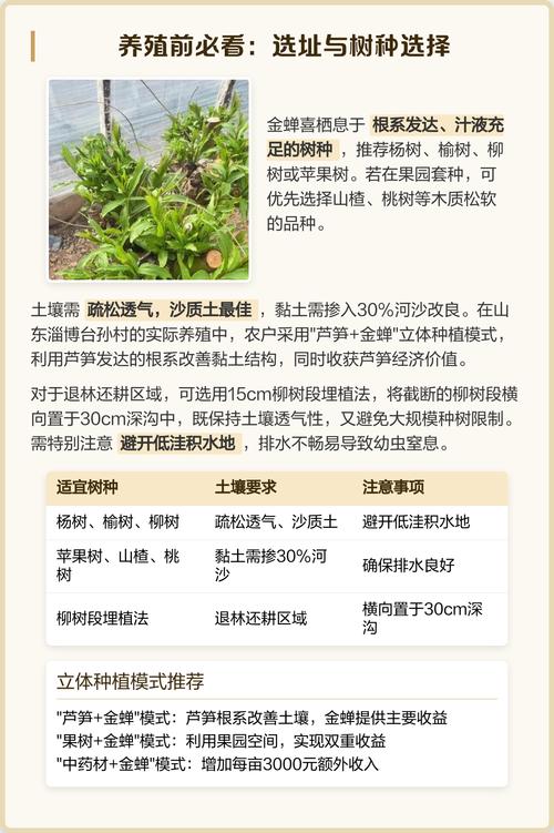 金蝉养殖首选树种种植技术指南——杨树与柳树科学种植全流程 七、成活注意事项