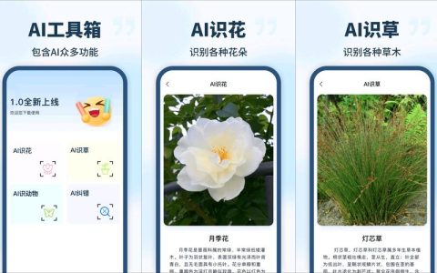 怎么植物识别？从入门到精通的实用技巧全攻略