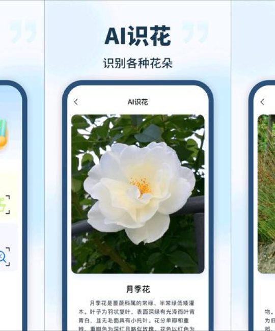 怎么植物识别？从入门到精通的实用技巧全攻略