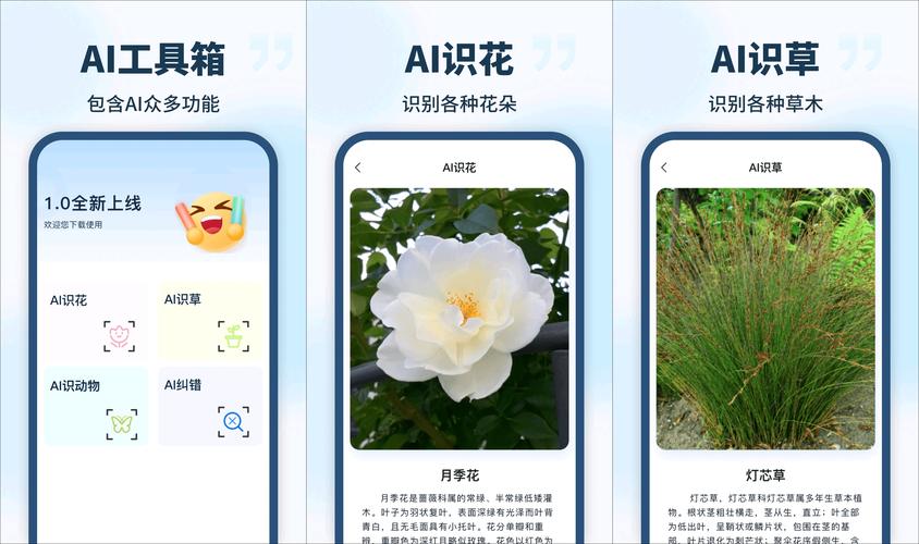 怎么植物识别?从入门到精通的实用技巧全攻略 引言