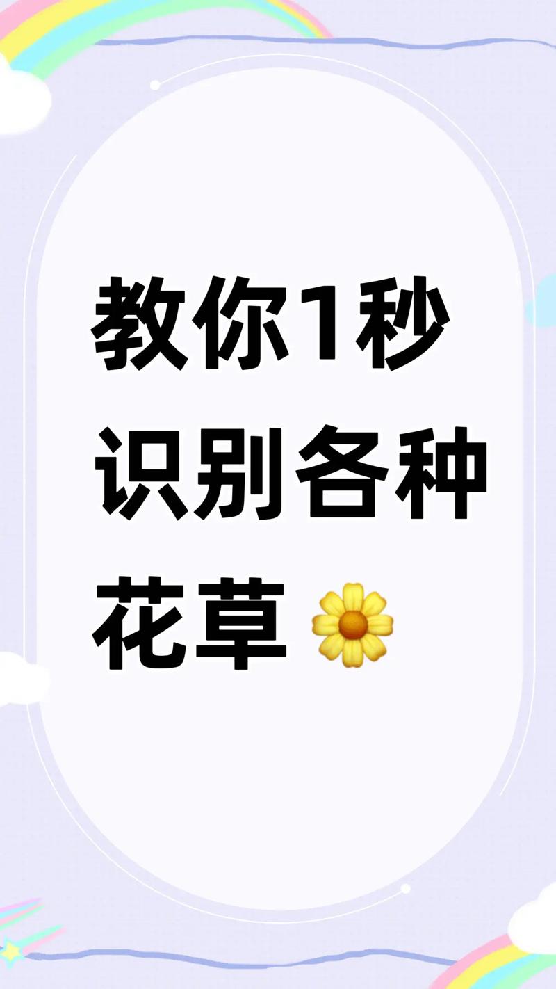 怎么植物识别?从入门到精通的实用技巧全攻略 一、用眼睛看:形态特征是最可靠的线索