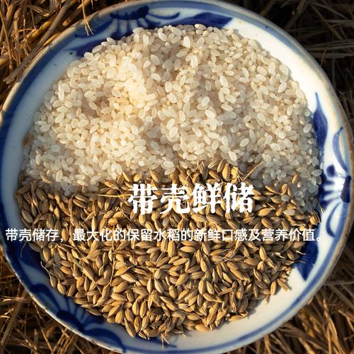 桂花球大米价格多少钱一斤?参考区间与五大影响因素详解 规格影响:袋装、散装与礼盒装价差可达一倍