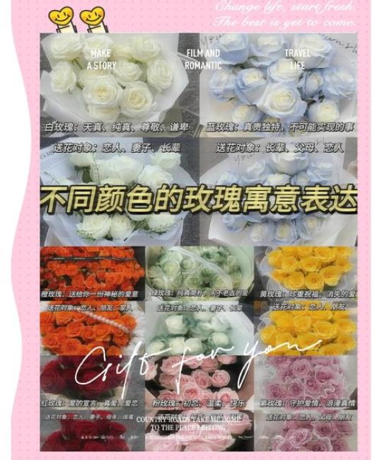 十朵玫瑰花的花语是什么意思？玫瑰植物百科与花语含义详解