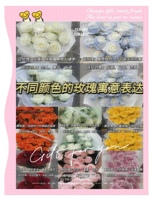十朵玫瑰花的花语是什么意思?玫瑰植物百科与花语含义详解 十朵玫瑰花的花语是什么意思?玫瑰植物百科与花语含义详解