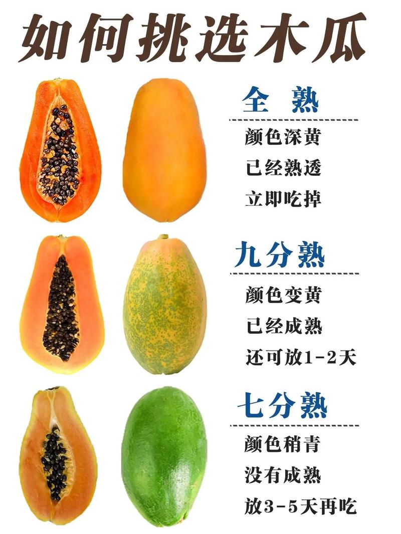 木瓜怎么育苗?家庭园艺番木瓜全流程技术手册 五、常见失败原因与补救(失败案例)