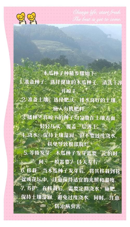 木瓜怎么育苗?家庭园艺番木瓜全流程技术手册 三、种子处理与播种操作