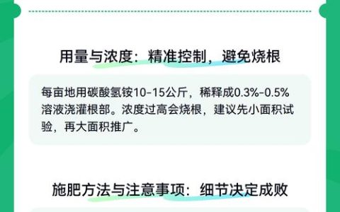 种芹菜施什么肥最好？掌握这些施肥技巧，芹菜高产又优质