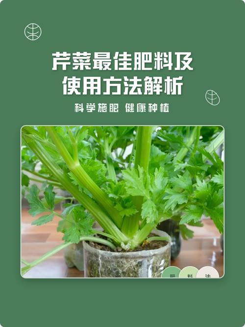 种芹菜施什么肥最好?掌握这些施肥技巧,芹菜高产又优质 二、底肥:有机肥为主,配合复合肥