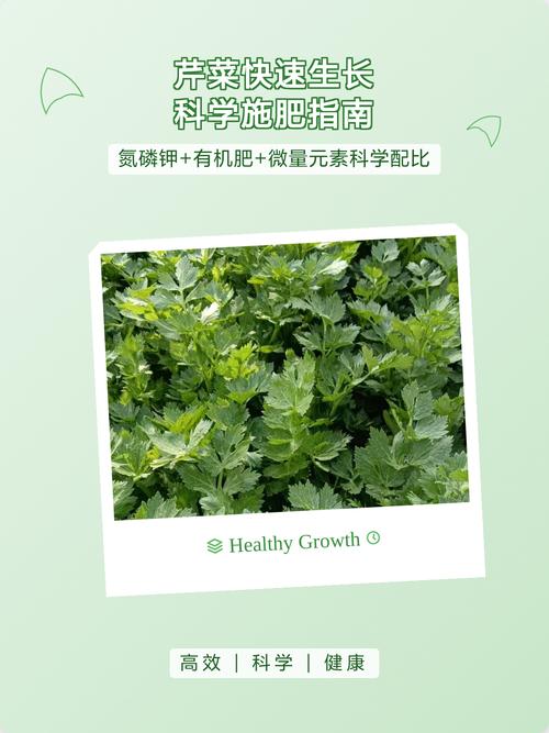 种芹菜施什么肥最好?掌握这些施肥技巧,芹菜高产又优质 五、常见施肥误区提醒