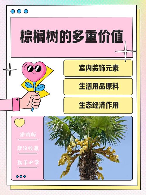 华棕树价格:2026年市场行情与五大影响因素详解 咨询指南:如何获取精准报价?