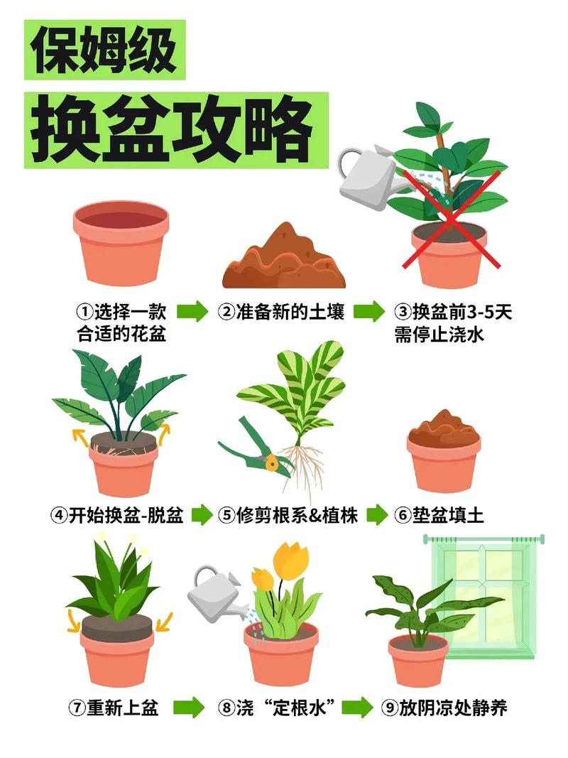 四季果树盆栽怎么养?从浇水到换盆的实用养护指南 五、越冬越夏:夏天防闷热,冬天防低温,是盆栽果树的关键