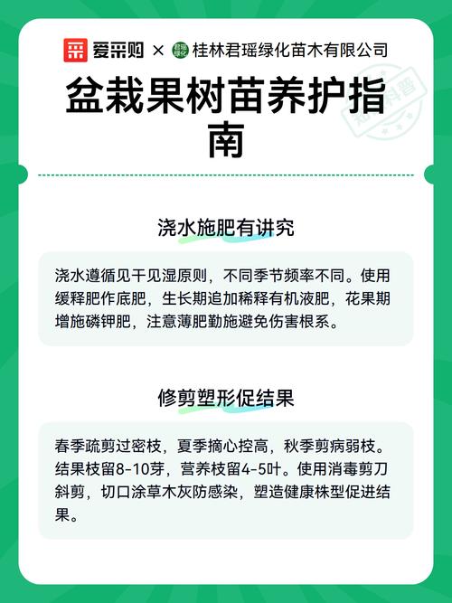 四季果树盆栽怎么养?从浇水到换盆的实用养护指南 四、修剪:适度疏枝、保留结果枝,能让树形更稳、果量更均衡