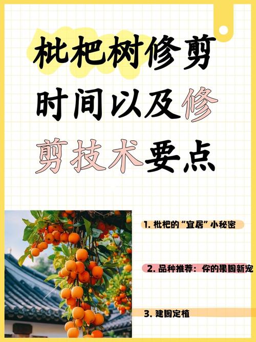 枇杷树花期修剪指南:如何正确修剪以促进开花结果 修剪:花期修剪以疏除过密枝和病弱枝为主