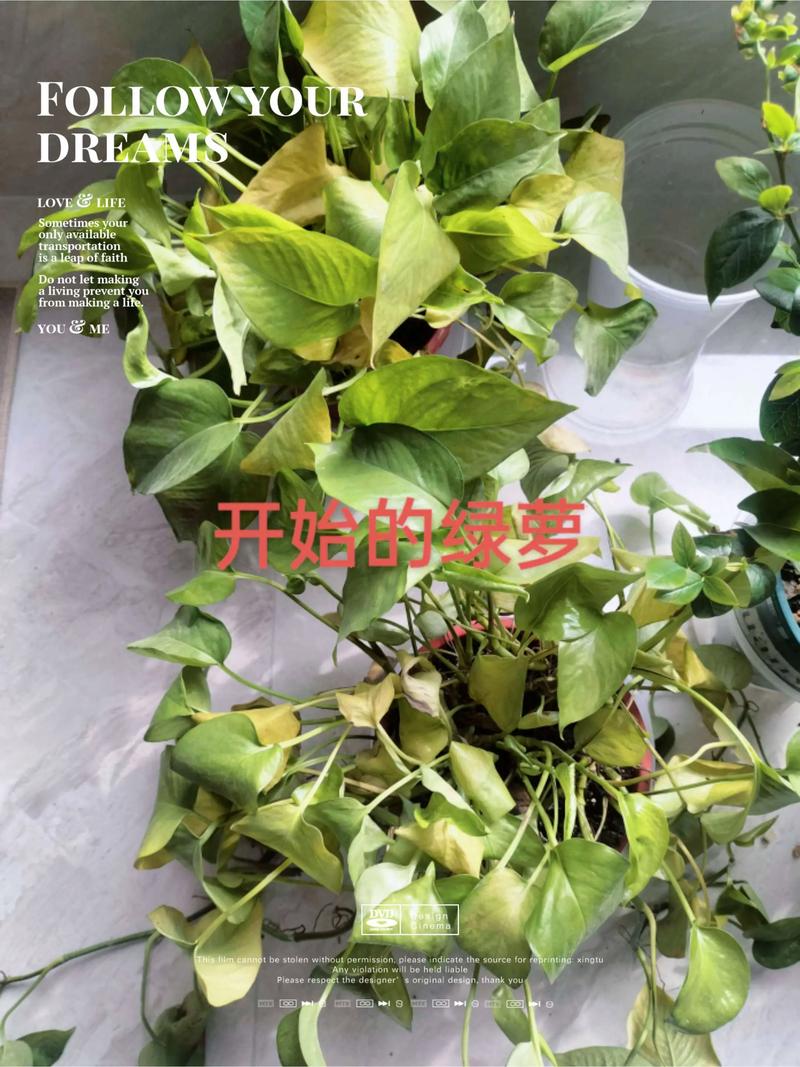 规格是影响价格的第一要素