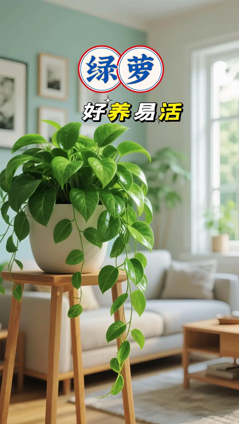 产地决定基础成本