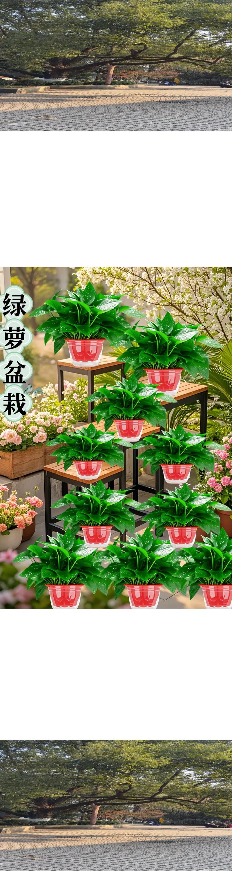 运输成本：占订单总额的10%-30%