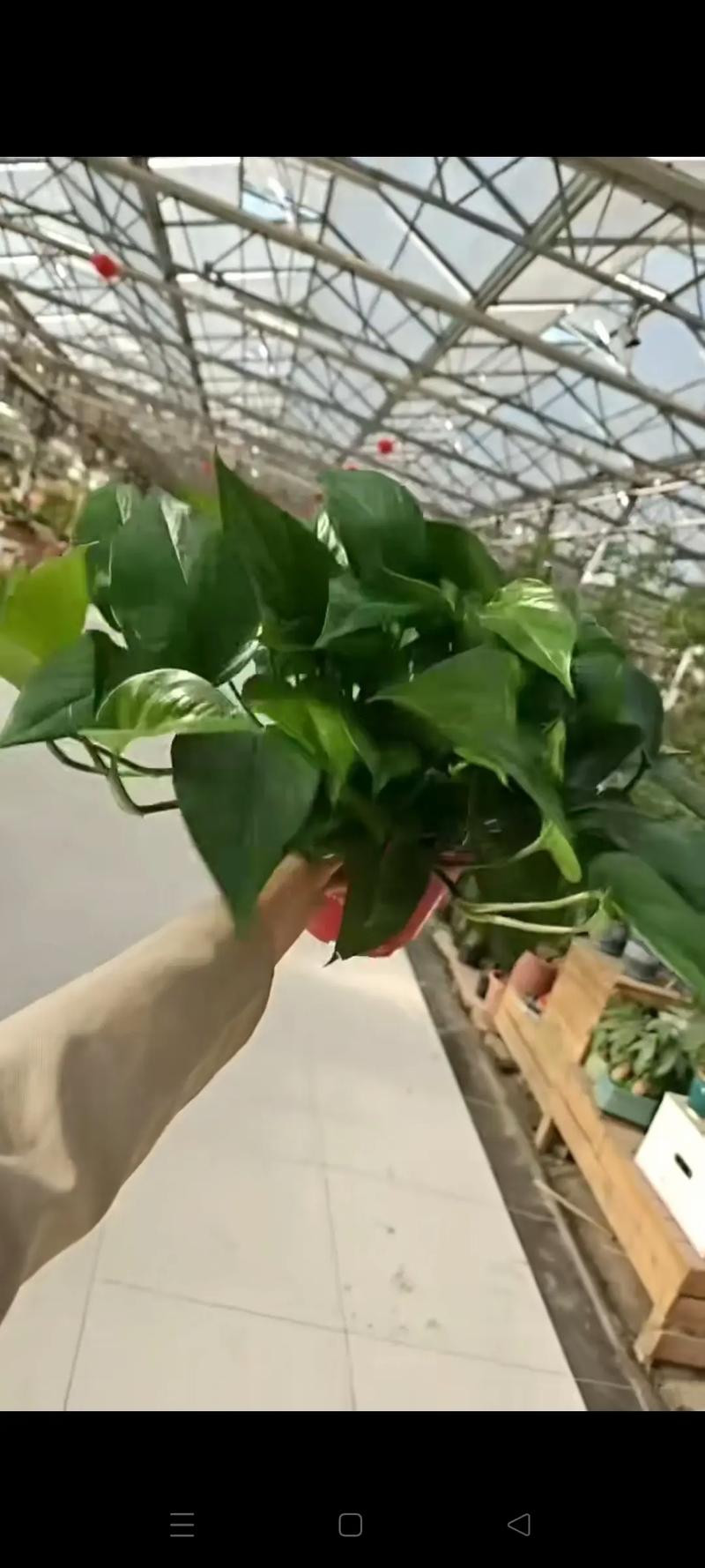 综合价格参考表