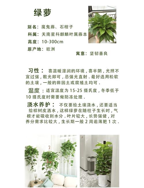 常见问题（FAQ）