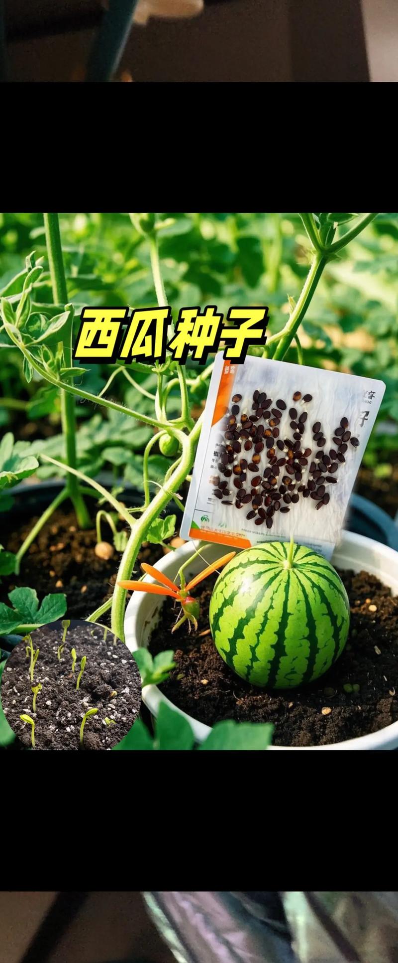 结语