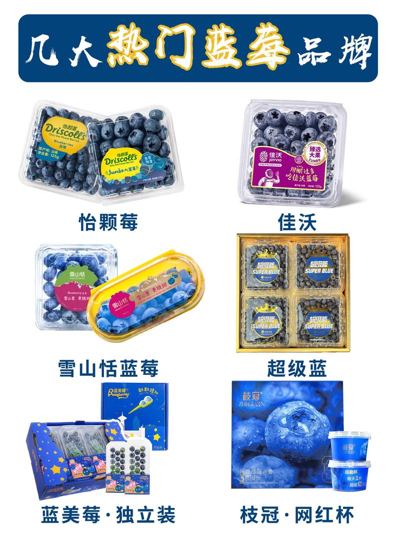 六大维度对比表格