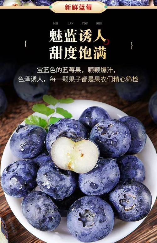 场景化选择建议