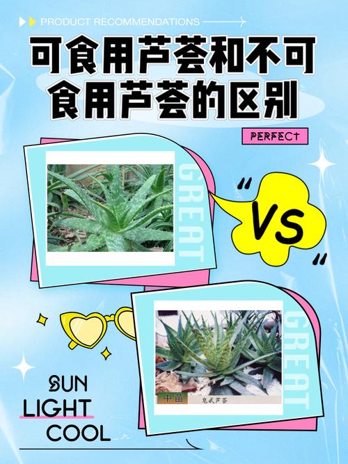 芦荟不是水生植物——快速识别植物分类的3个关键标准 三、常见错误:将芦荟误认为“水生”的三大原因