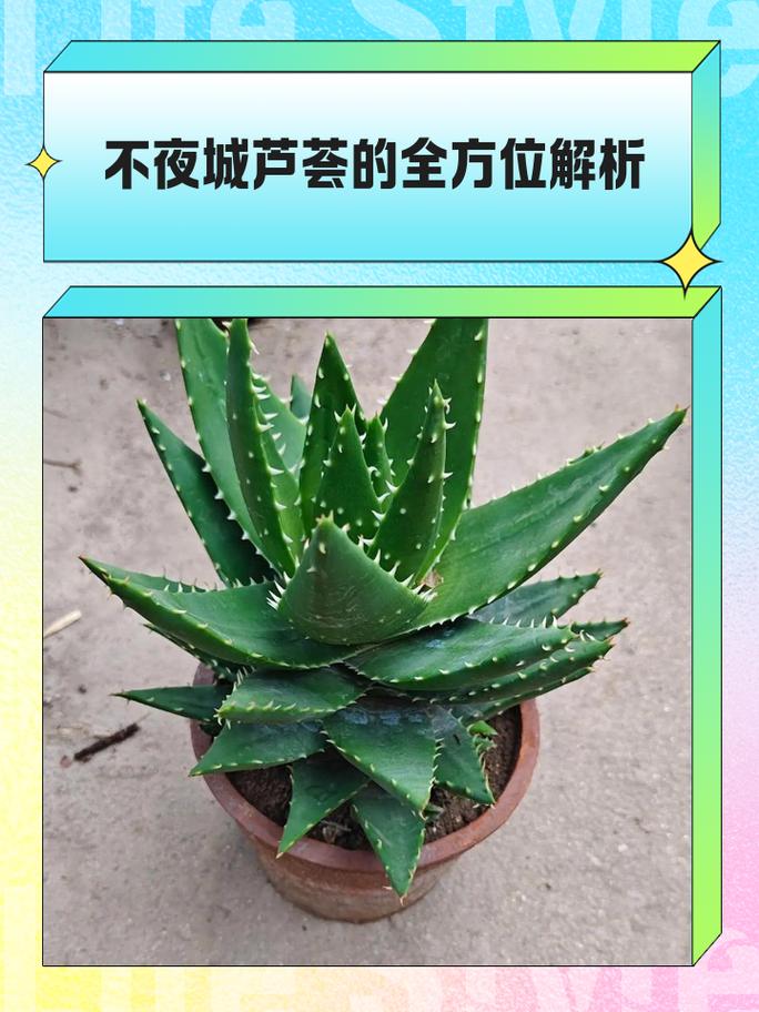 芦荟不是水生植物——快速识别植物分类的3个关键标准 四、FAQ(常见问题)