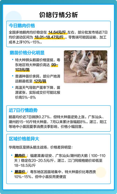 狮头鹅鹅苗批发多少钱?2025年最新价格区间与影响因素全解析 数量:批发折扣的博弈