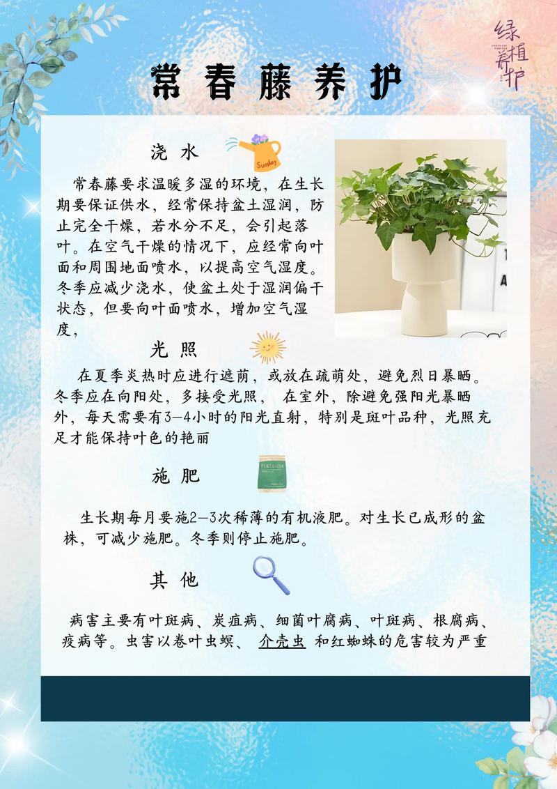 高铁上能不能带植物?园艺爱好者的完整指南 二、园艺爱好者的包装方案:让植物安然无恙