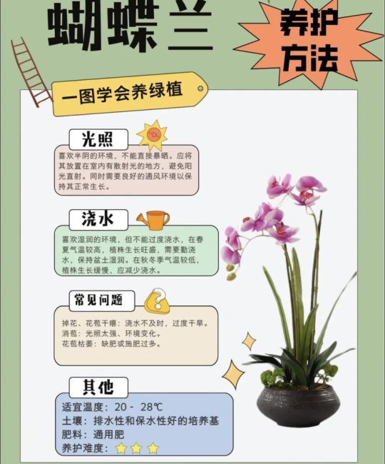 高铁上能不能带植物？园艺爱好者的完整指南