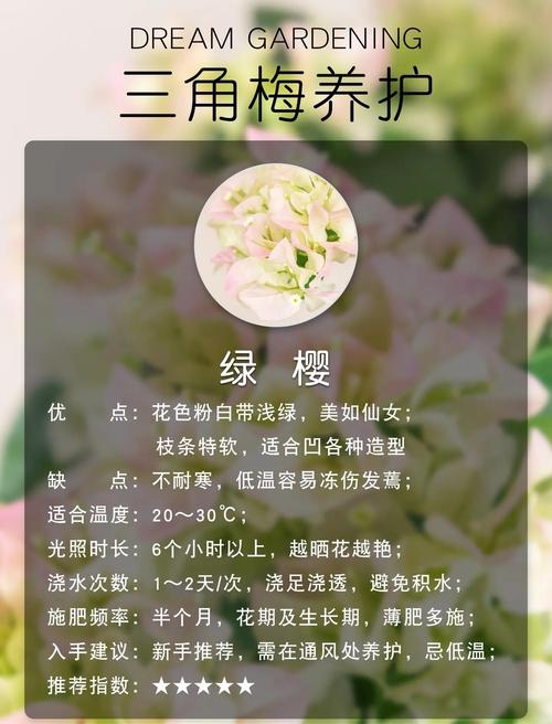 高铁上能不能带植物?园艺爱好者的完整指南 三、常见问题快速解答