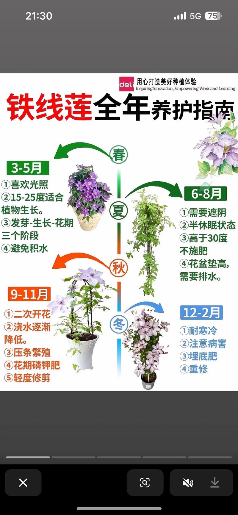 高铁上能不能带植物?园艺爱好者的完整指南 四、出行小贴士