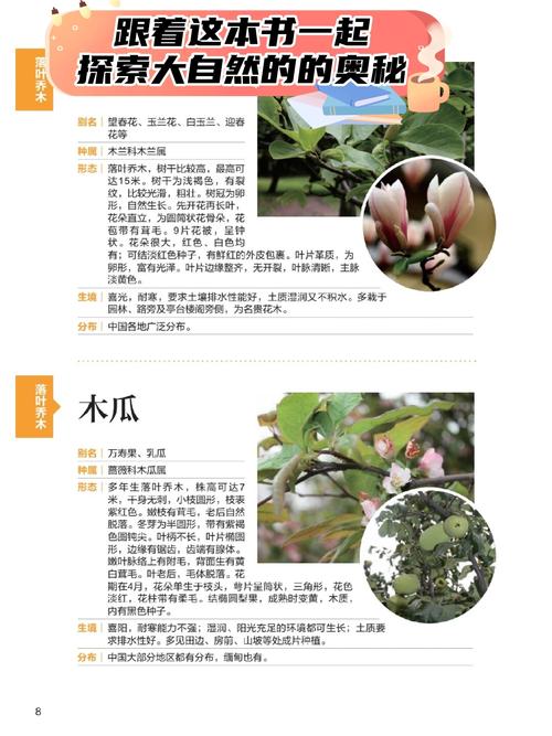 高铁上能不能带植物?园艺爱好者的完整指南 结语