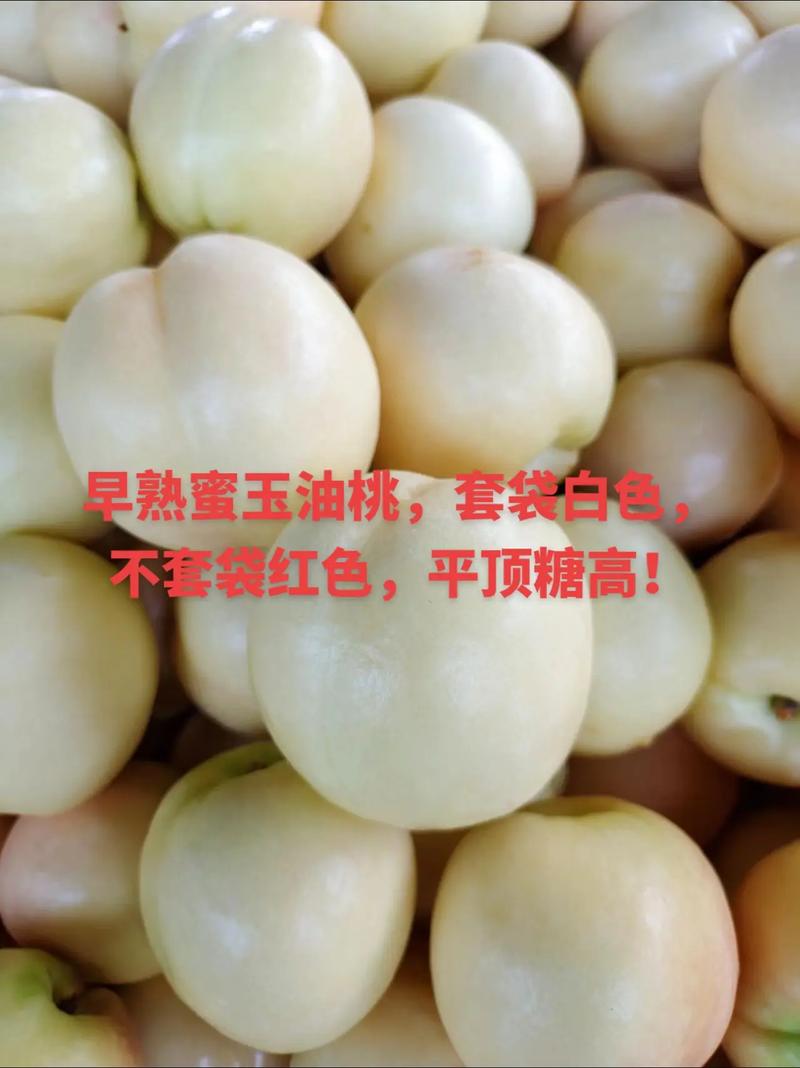 2026油桃品种甜度对决:中油4号、瑞光18号、金辉谁最甜? 三、场景化选择建议