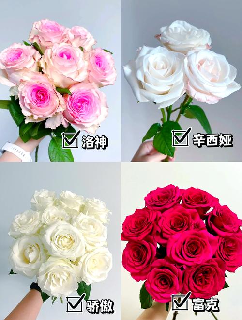 玫瑰花束养护全攻略:从入门到延长花期的6个技巧 剪切:给花茎“开个口”,让水分畅通无阻