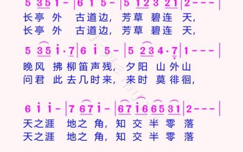 朴树种植与移栽全攻略：树形特征、遮荫能力、规格选型及移栽成活技术