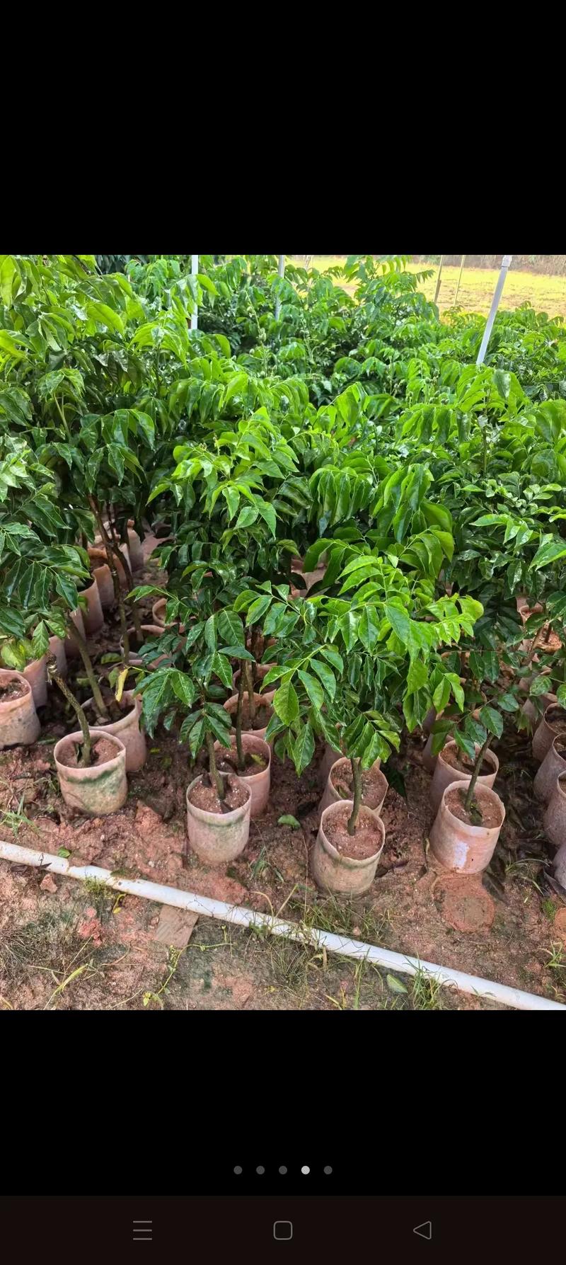 四、规格标准解读——量化测量方法