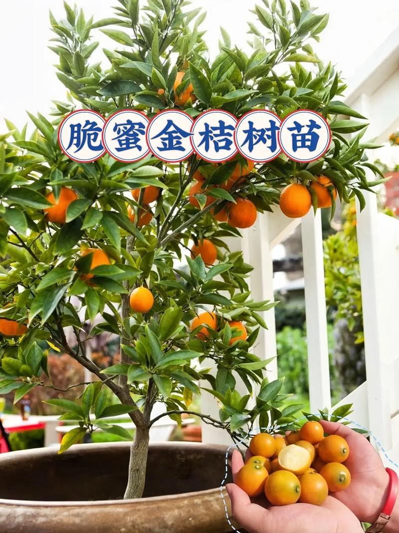 八、总结：三档渠道评估结论建议