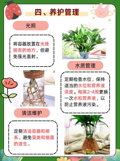 第六步：缓苗期管理（前7-15天）