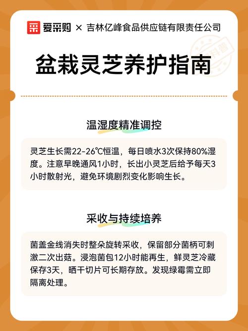灵芝怎么种植在盆里 - 家庭盆栽灵芝完整技术指南 五、浇定根水(接种后保湿)