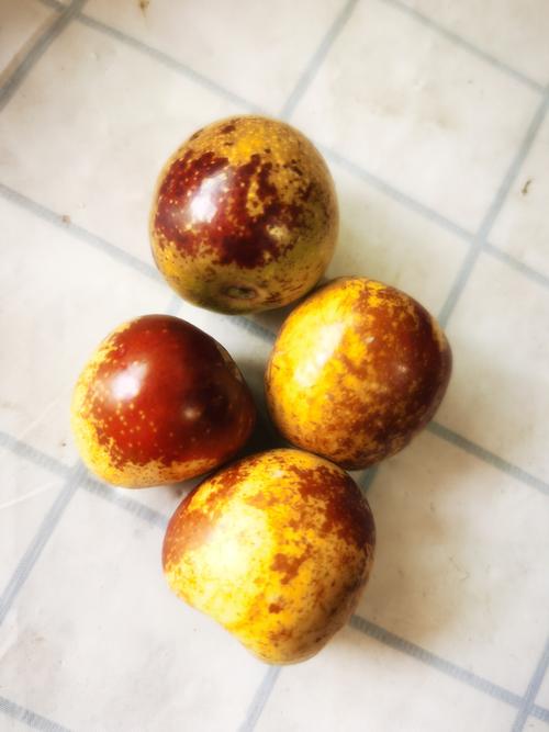 鲜枣品种大比拼:冬枣、蜂蜜罐枣、蟠枣,谁才是真正的鲜食之王? 鲜枣品种大比拼:冬枣、蜂蜜罐枣、蟠枣,谁才是真正的鲜食之王?