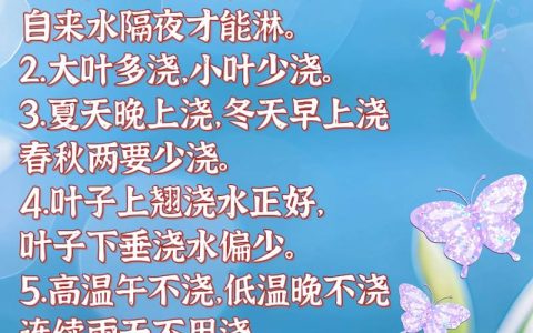 养花怎么浇水？从入门到精通的科学浇水指南