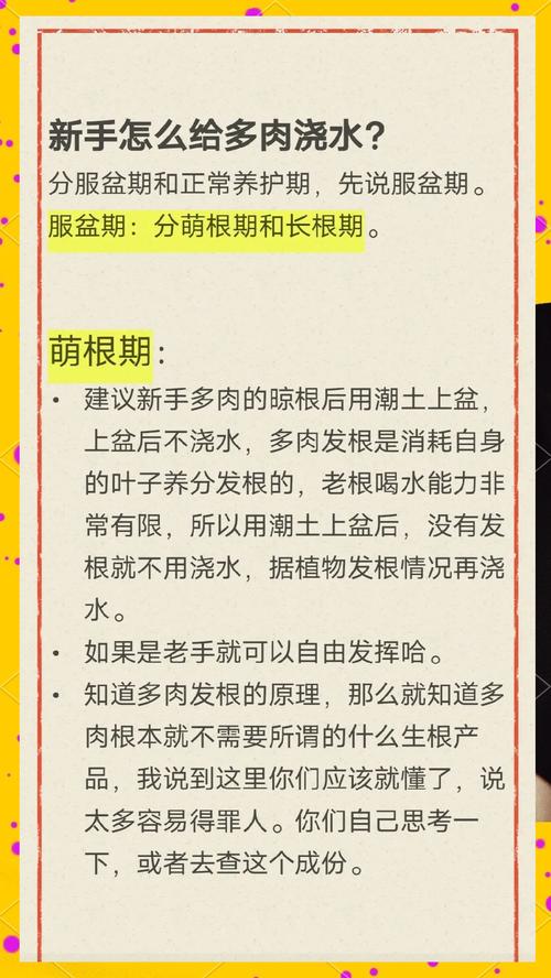 养花怎么浇水?从入门到精通的科学浇水指南 换盆:为植物提供充足的生长空间