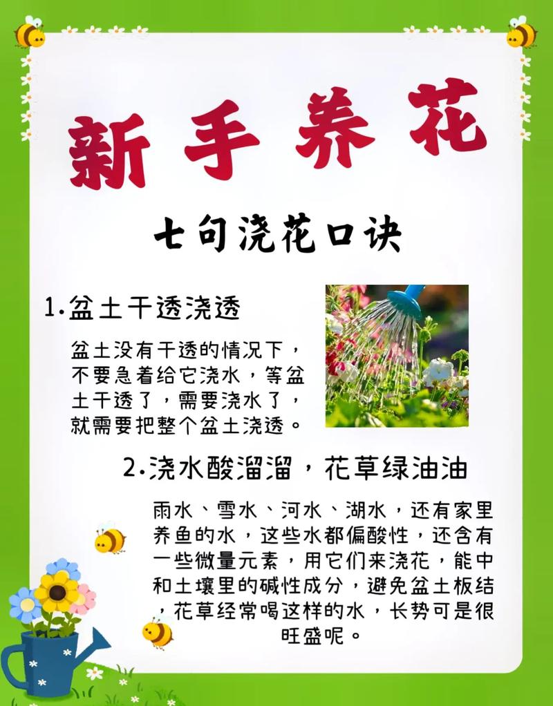 养花怎么浇水?从入门到精通的科学浇水指南 越冬越夏:帮助植物平稳度过极端季节