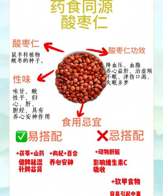 酸枣的功效与作用：安神助眠、补中益气的天然药食同源植物