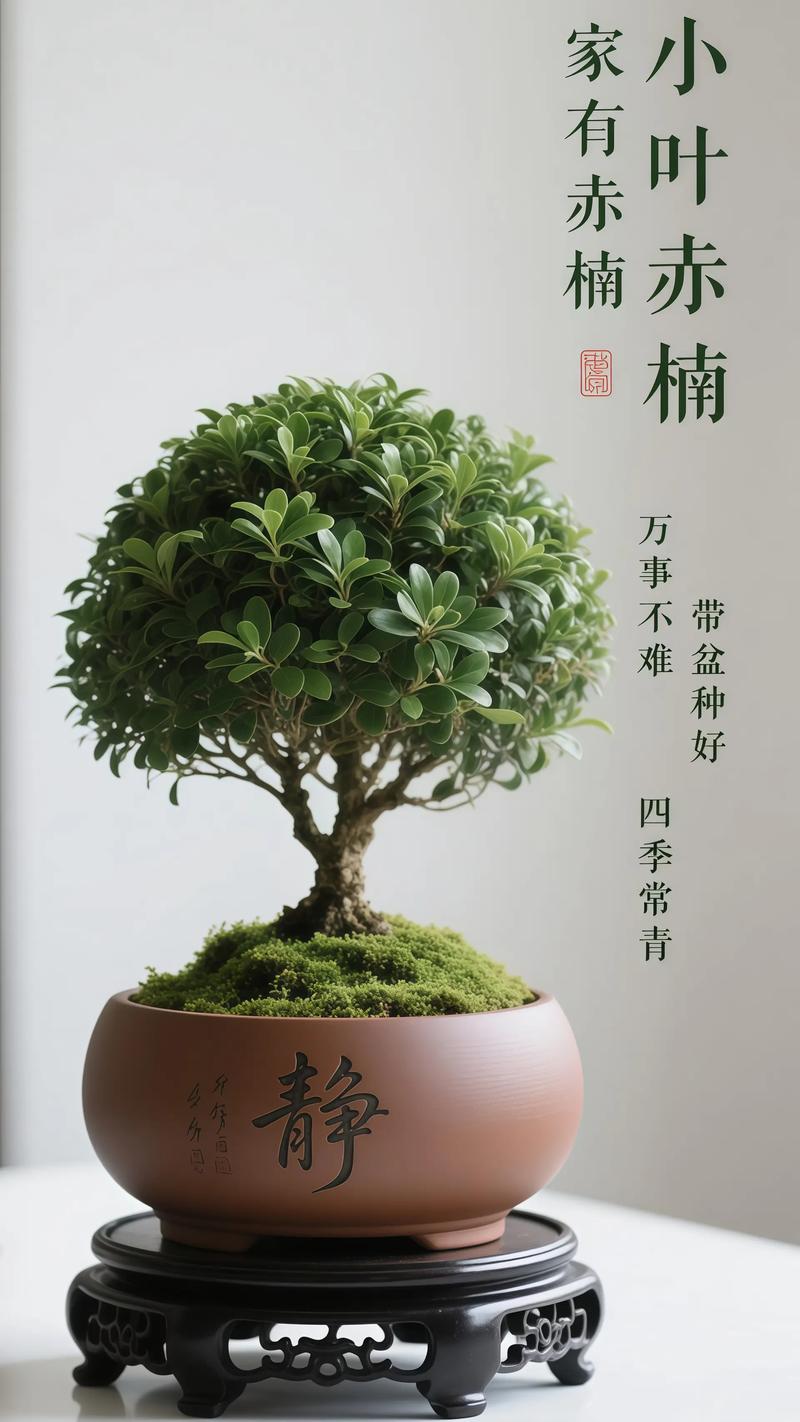 一颗金丝楠木价值多少?从园艺视角看这棵“帝王木”的珍贵与养护 一颗金丝楠木的“长期价值”启示