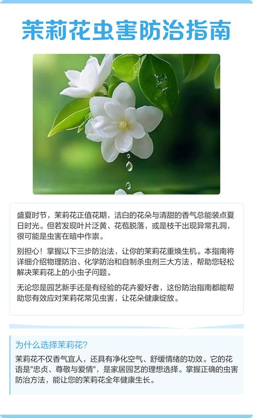 花招虫子怎么办?几个实用小妙招帮你轻松解决 一、先学会观察,及时发现虫害