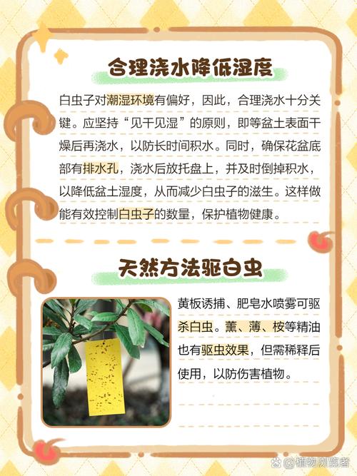 花招虫子怎么办?几个实用小妙招帮你轻松解决 六、虫害严重时,别硬扛